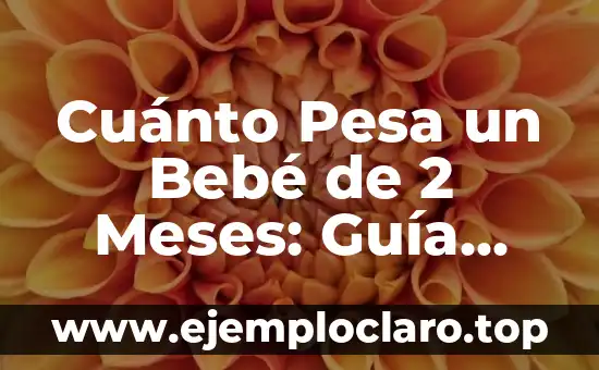 Cuánto Pesa un Bebé de 2 Meses: Guía para Padres Primerizos