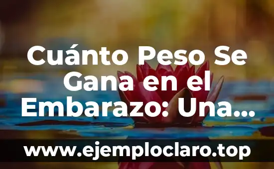 Cuánto Peso Se Gana en el Embarazo: Una Guía Detallada