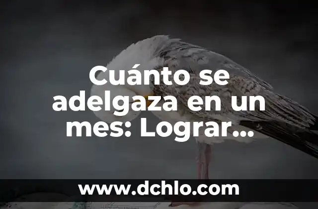 Significado del Mes de Tishrei 5 Cuánto se adelgaza en un mes: Lograr objetivos de pérdida de peso saludable