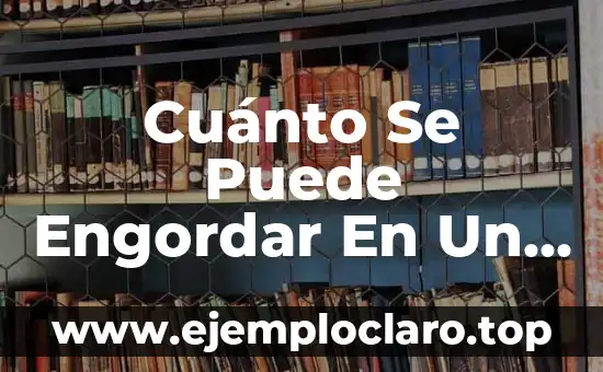 Cuánto Se Puede Engordar En Un Día: La Verdad Sobre El Ganancia De Peso