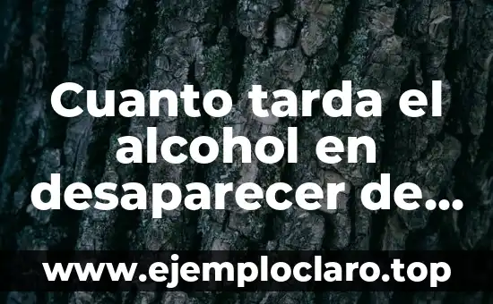 Cuanto tarda el alcohol en desaparecer de la sangre: Un guía detallada