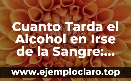 Cuanto Tarda el Alcohol en Irse de la Sangre: Una Guía Completa