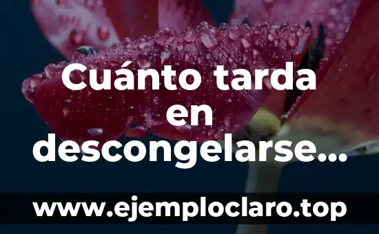 Cuánto tarda en descongelarse la carne: Guía completa
