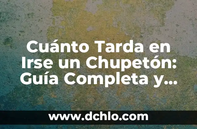 Cuánto tarda en descongelarse la carne: Guía completa 7 Cuánto Tarda en Irse un Chupetón: Guía Completa y Detallada