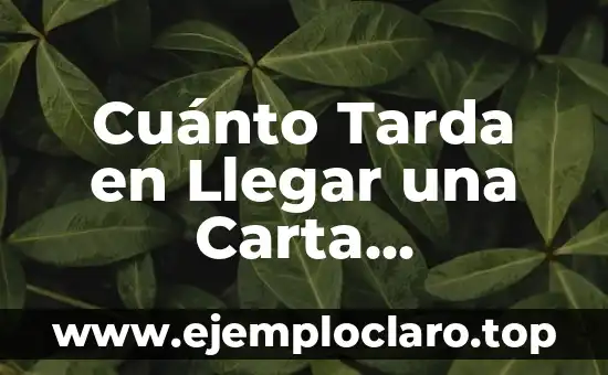 ¿Qué es la Liga de Naciones? - La Historia y el Propósito Detrás de Esta Organización Internacional 7 Cuánto Tarda en Llegar una Carta Internacional Correos – Tiempos de Entrega Estimados