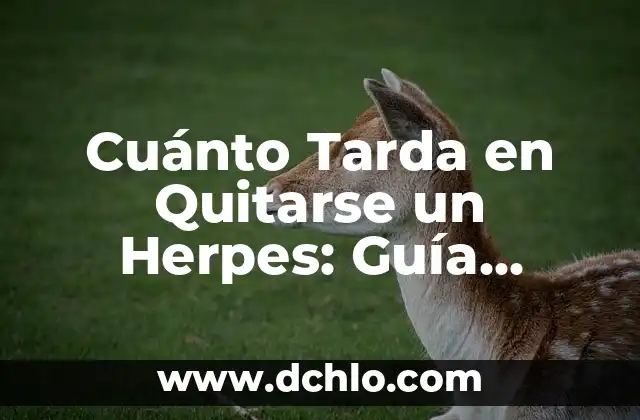 Cuánto tarda en descongelarse la carne: Guía completa 8 Cuánto Tarda en Quitarse un Herpes: Guía Completa y Exhaustiva