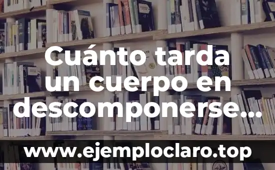 Cuánto tarda un cuerpo en descomponerse en un ataúd: La verdad sobre el proceso de descomposición