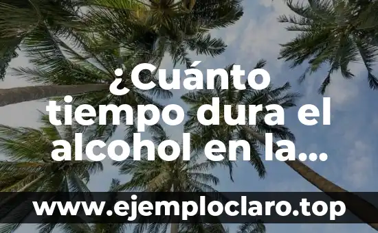 ¿Cuánto tiempo dura el alcohol en la sangre? Guía completa y actualizada