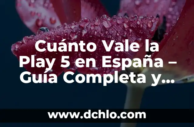 Escudos de la Bandera de España: Historia y Significado 6 Cuánto Vale la Play 5 en España – Guía Completa y Actualizada