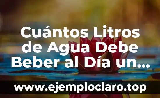 ¿Es malo beber mucha agua y orinar mucho? Descubre la verdad 7 Cuántos Litros de Agua Debe Beber al Día un Adulto Promedio