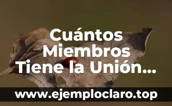 Cuántos Miembros Tiene la Unión Europea: Una Guía Completa
