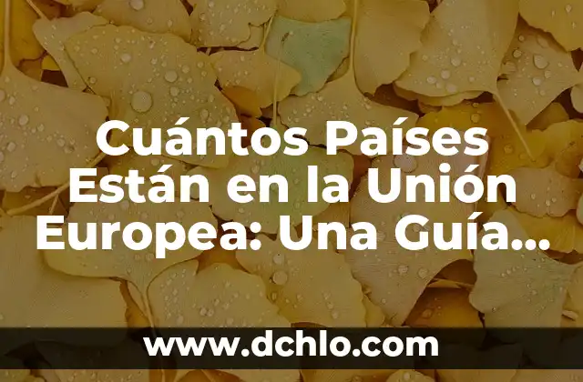 Panamericanismo, un concepto esencial en la unión continental 6 Cuántos Países Están en la Unión Europea: Una Guía Completa