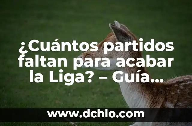 Copas del Rey Horarios y TV: Guía Completa de la Competición Española 8 ¿Cuántos partidos faltan para acabar la Liga? – Guía completa para seguir la competición