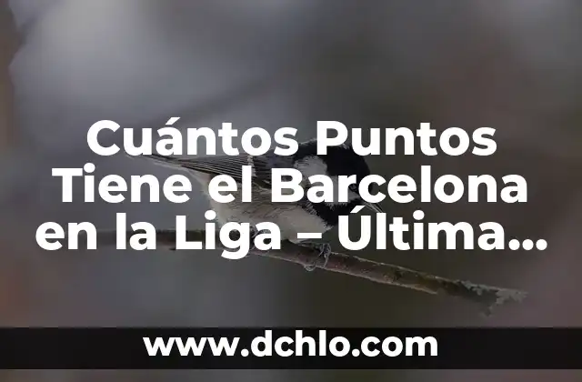 Cómo Obtener 15 Puntos en el Examen de Admisión Universitaria 6 Cuántos Puntos Tiene el Barcelona en la Liga – Última Actualización