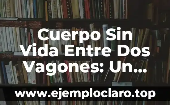 Moneda de Dos Caras Significado: Descubre su Profundo Simbolismo 3 Cuerpo Sin Vida Entre Dos Vagones: Un Fenómeno Misterioso