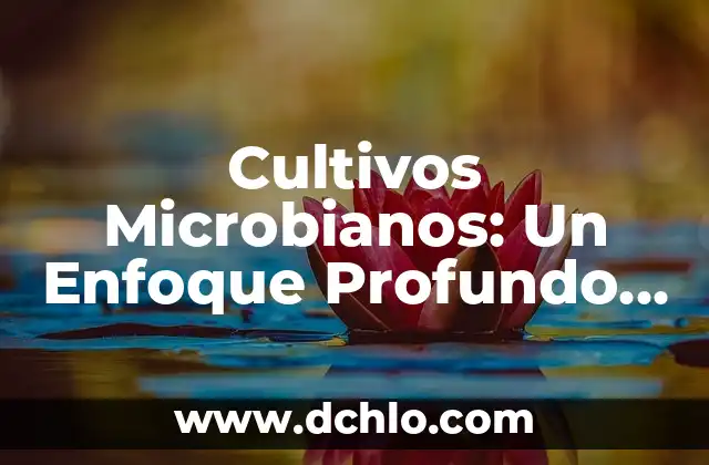 El significado profundo de un icono 5 Cultivos Microbianos: Un Enfoque Profundo en las Cepas de Microorganismos