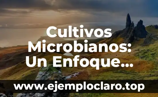 El significado profundo de un icono 5 Cultivos Microbianos: Un Enfoque Profundo en las Cepas de Microorganismos