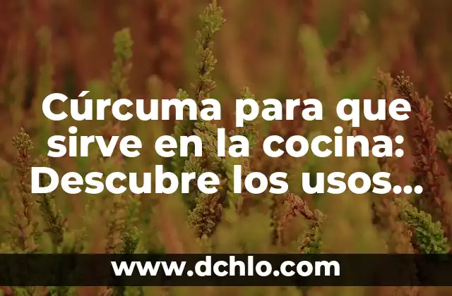 El Significado de la Suástica: Un Símbolo Milenario 6 Cúrcuma para que sirve en la cocina: Descubre los usos y beneficios de este ingrediente milenario
