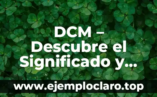 Alando: Un Concepto Esencial en Diversas Disciplinas 6 DCM – Descubre el Significado y sus Diversas Aplicaciones