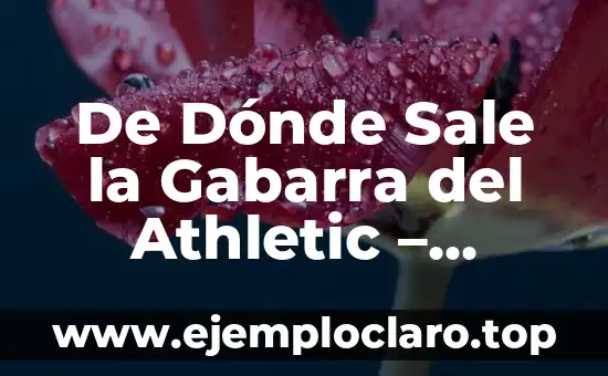 De Dónde Sale la Gabarra del Athletic – Historia y Orígenes