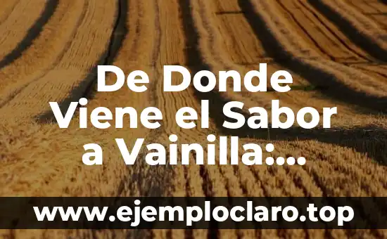 De Donde Viene el Sabor a Vainilla: Orígenes y Historia