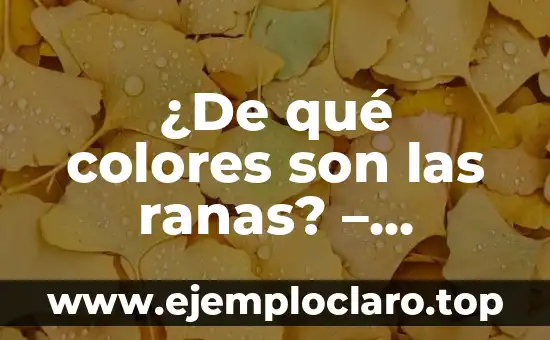 Significado de la Palabra Pokémon: Un Viaje al Mundo de las Criaturas Mágicas 5 ¿De qué colores son las ranas? – Descubre la sorprendente variedad de colores de estas criaturas