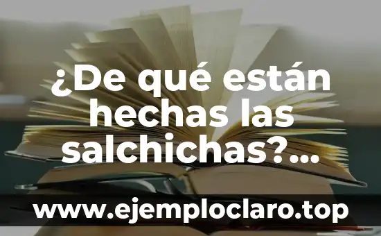 Comida para Navidad Fácil de Preparar: Ideas y Recetas para una Fiesta Inolvidable 3 ¿De qué están hechas las salchichas? Descubre los ingredientes y procesos detrás de tu comida favorita