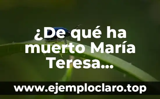 ¿De qué ha muerto María Teresa Campos? La triste realidad sobre su salud