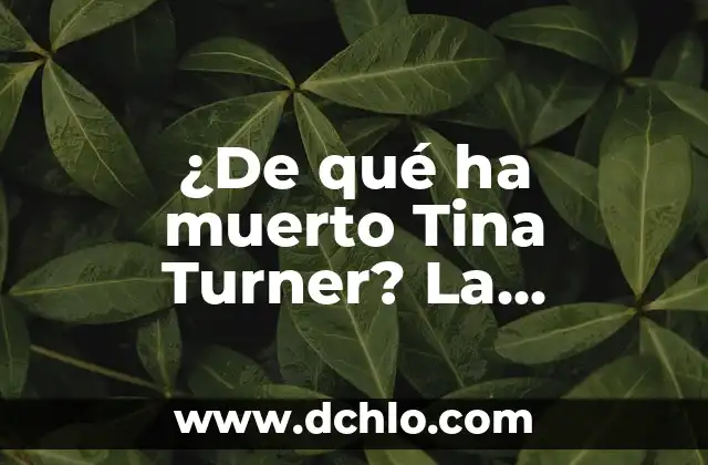 Frase significativa de Ronald Reagan: Un legado de liderazgo 3 ¿De qué ha muerto Tina Turner? La legendaria vida y legado de la Reina del Rock
