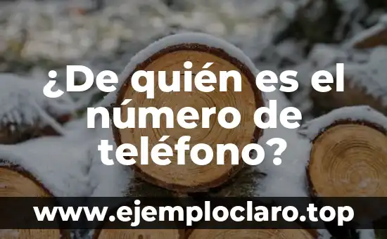 ¿Quién es el famoso y multimillonario Iron Man? - Biografía y Legado 6 ¿De quién es el número de teléfono?