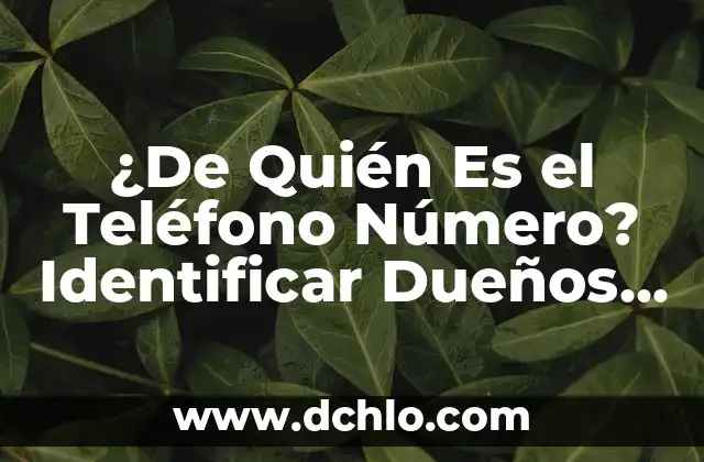 ¿Cuál es el color que se obtiene al mezclar rojo y blanco? 8 ¿De Quién Es el Teléfono Número? Identificar Dueños de Números de Teléfono