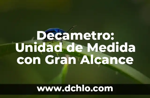 Multitud: El significado detrás de una gran cantidad de personas 7 Decametro: Unidad de Medida con Gran Alcance