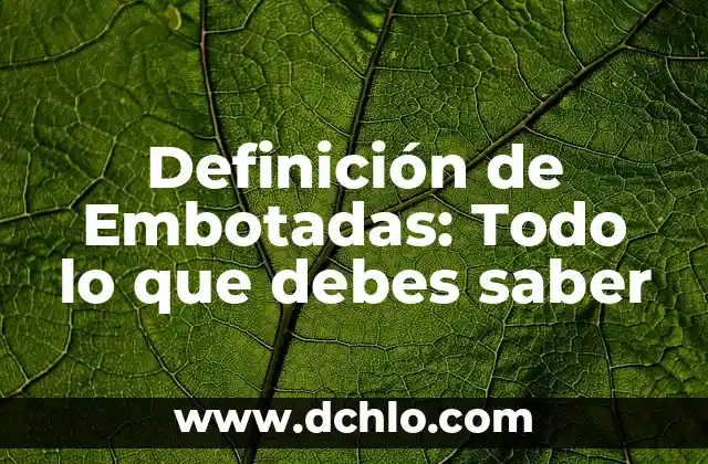 Unidad del Volumen en el Sistema Internacional (SI) - Definición y Aplicaciones 5 Definición de Embotadas: Todo lo que debes saber