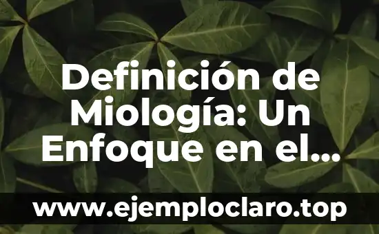 Definición de Miología: Un Enfoque en el Estudio de los Músculos