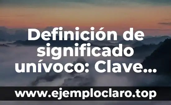 Definición de significado unívoco: Clave para la claridad en la comunicación