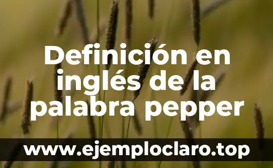 Examen significado de la palabra 8 Definición en inglés de la palabra pepper