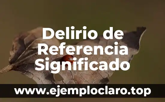 Delirio de Referencia Significado
