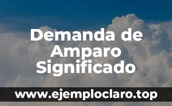 Interponer Recurso de Amparo Significado 5 Demanda de Amparo Significado