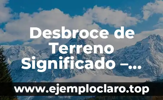 Desbroce de Terreno Significado – Todo lo que Necesitas Saber