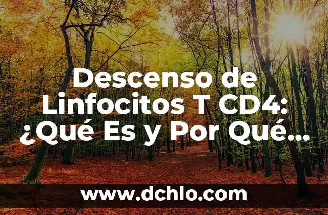 Introducción al significado de t en Minitab 4 Descenso de Linfocitos T CD4: ¿Qué Es y Por Qué Es Importante?