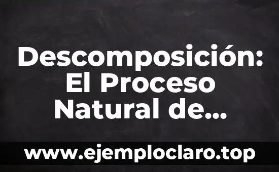 Descomposición de un Material: Un Proceso Natural 4 Descomposición: El Proceso Natural de Decadencia
