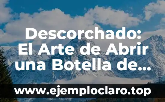 Descorchado: El Arte de Abrir una Botella de Vino