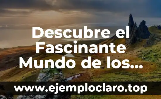 Descubre el Fascinante Mundo de los Aviones Anfibios