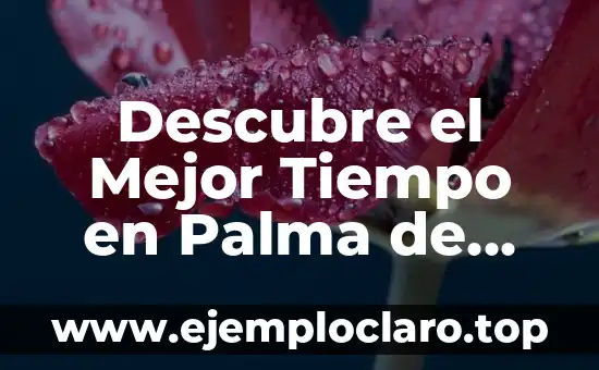 El Anacronismo: Un Viaje en el Tiempo de la Historia y la Cultura 5 Descubre el Mejor Tiempo en Palma de Playa para un Fin de Semana Inolvidable