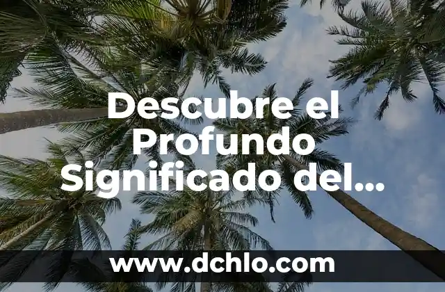 Significado de Soñar con Agua Mar: Un Viaje al Subconsciente 8 Descubre el Profundo Significado del Nombre Vicente