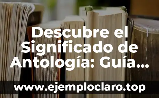 Supervisión gubernamental: Una guía completa 4 Descubre el Significado de Antología: Guía Completa