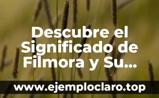 Descubre el Significado de Filmora y Su Impacto en la Edición de Video