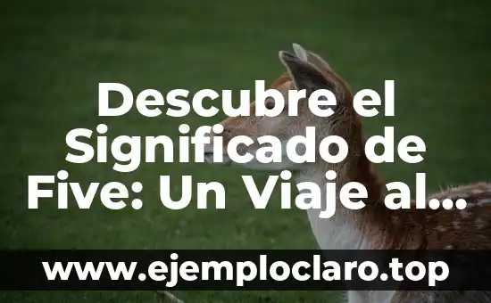 Descubre el Significado de Five: Un Viaje al Corazón de la Cultura y la Historia