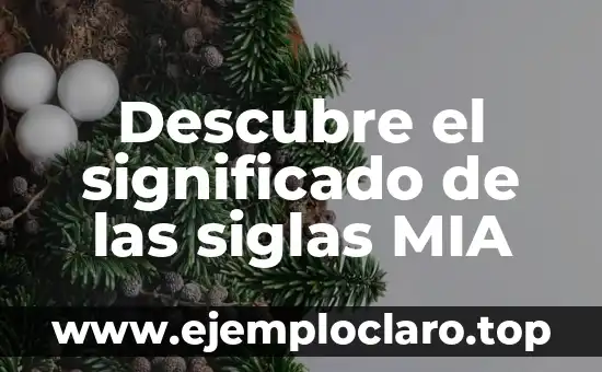 Descubre el significado de las siglas MIA
