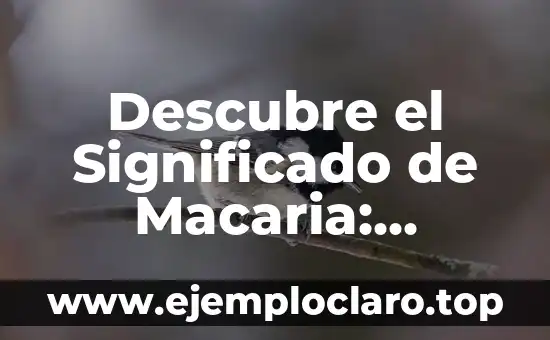 Descubre el Significado de Macaria: Historia y Contextos